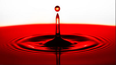  Copyright 2012 Helmut Probst 